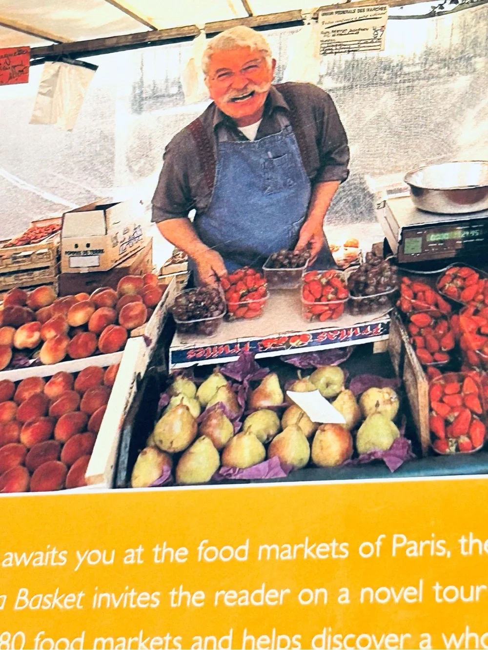 Paris in a Basket Y2K Hardback Cookbook